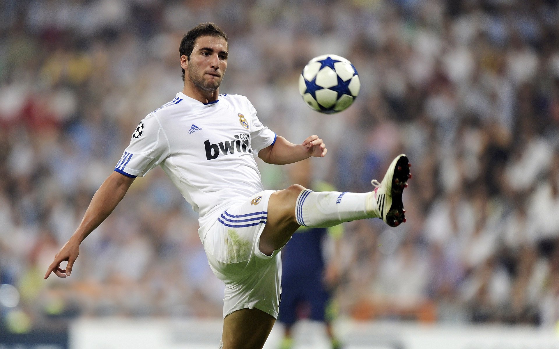 开云体育app-“亚戈·卡尔曼的传球与配合，助力阿根廷美洲狮队成为世界强队”