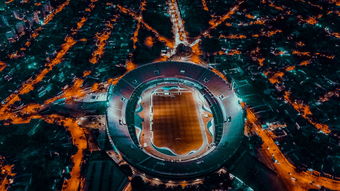 开云登陆-爱尔兰青训系统助力橄榄球未来腾飞，爱尔兰橄榄球联盟